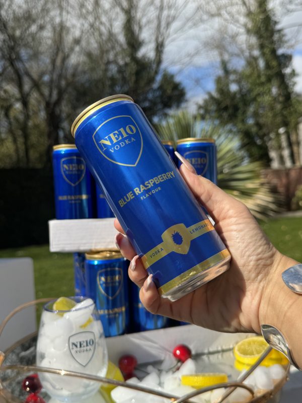NE10 Vodka Blue Raspberry Pre-Mixed